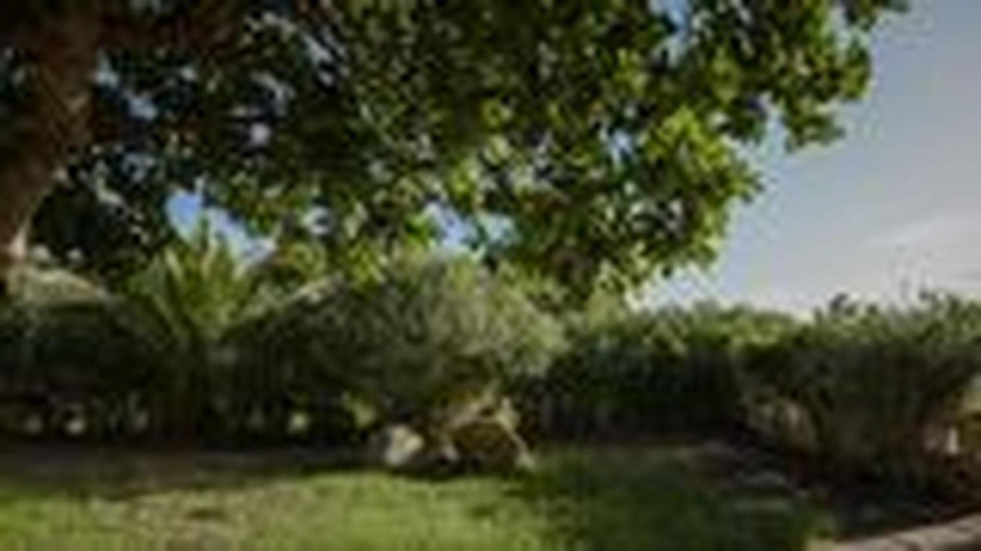 Welcomely - Villa Adele Costa Rei Extérieur photo