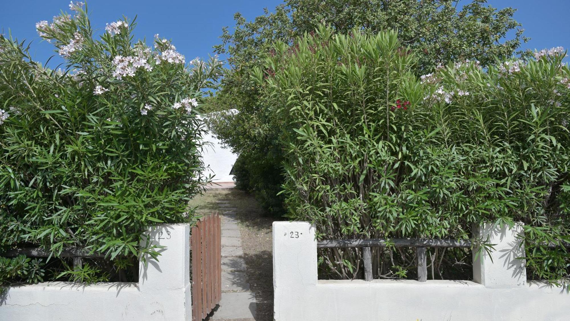 Welcomely - Villa Adele Costa Rei Extérieur photo